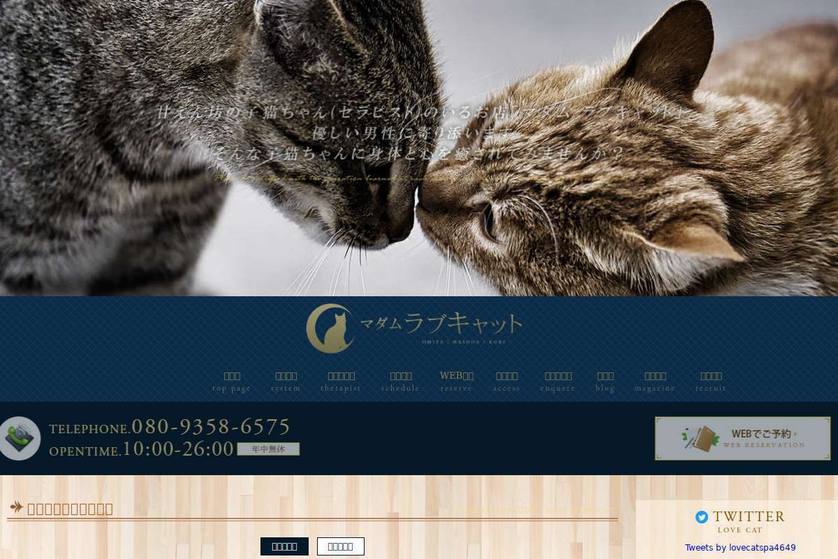 ラブキャット